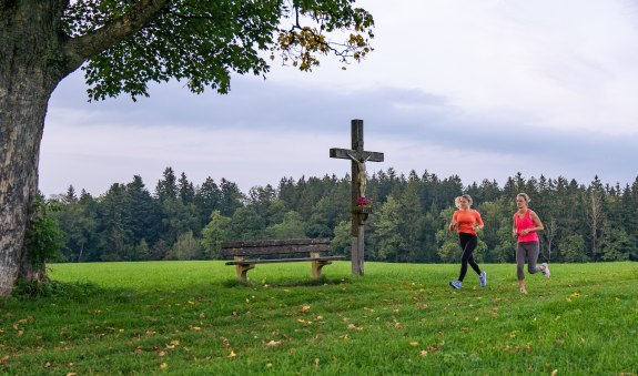 Stadtwald-Runde Miesbach, © Alpenregion Tegernsee Schliersee