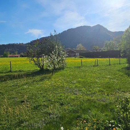 Blick &uuml;ber Wiesen, &copy; by S. H.-P.