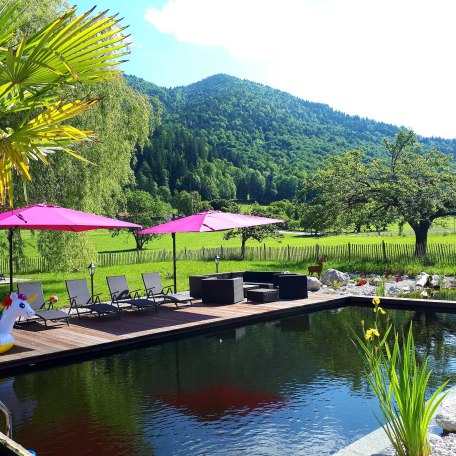 Schwimmteich im Garten, &copy; im-web.de/ Tourist-Information Rottach-Egern