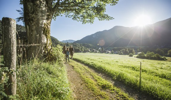 TTT_0816_HH_Familie_Wanderung_Kreuth-0024, &copy; TTT-Heckmair