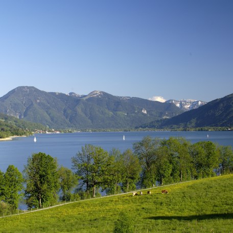Der Tegernsee von Kaltenbrunn