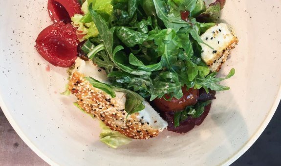 Haubentaucher Haubentaucher