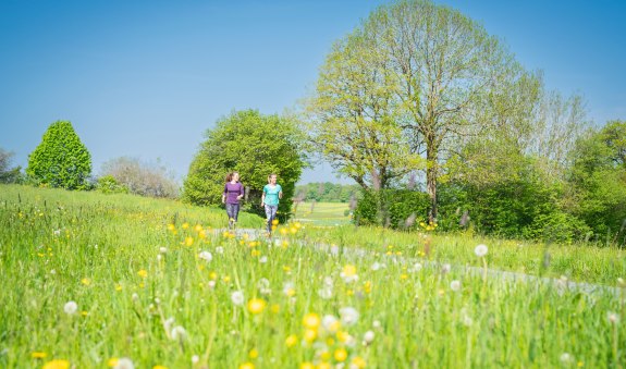 Roggersdorf-Runde, &copy; Unbekannt