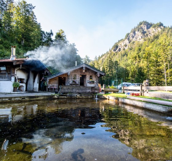 Fischzucht Herbst, © Der Tegernsee (Thomas Plettenberg) Fischzucht Herbst, © Der Tegernsee (Thomas Plettenberg)
