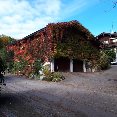 Fewo Südostseite im Herbst, © im-web.de/ Tourist-Information Gmund am Tegernsee