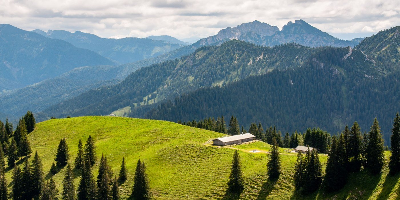 Gams_Wallberg_Rottach &copy; Der Tegernsee, Sabine Ziegler-Musiol_App, &copy; &copy; Der Tegernsee, Sabine Ziegler-Musiol