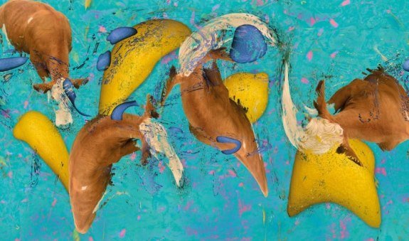 Jarzin, © Kulturvision e.V.