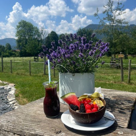 IMG-20260624-WA0004, © Antja Haack IMG-20260624-WA0004, © Antja Haack