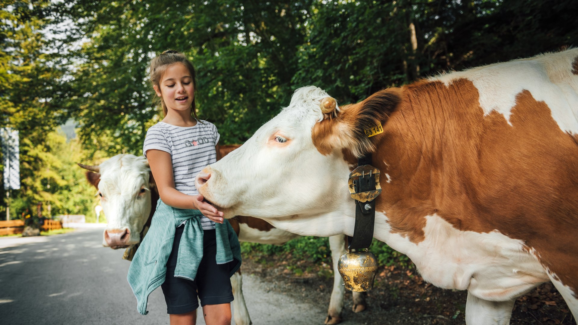 Naturschauspiel_Kreuth_11_5, © Julian Rohn Naturschauspiel_Kreuth_11_5, © Julian Rohn