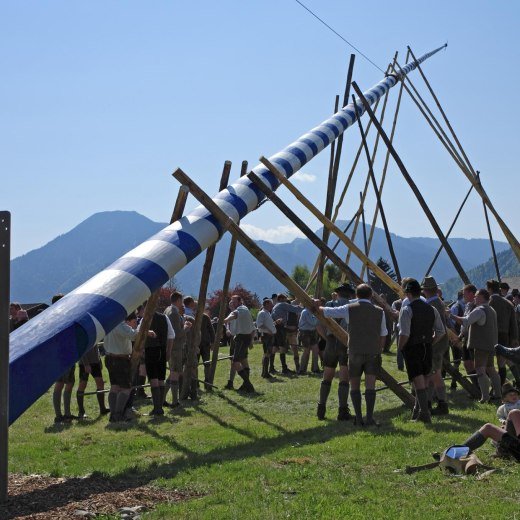 m_07_maibaum_1