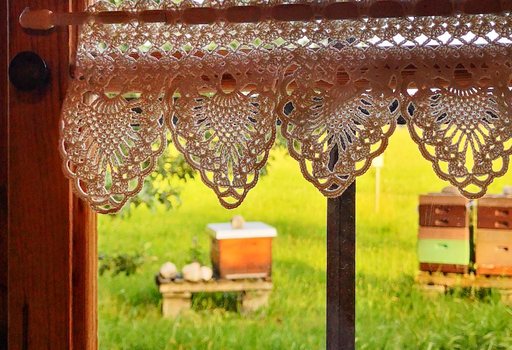 Lehrbienenstand Gmund Bild 7, © DER TEGERNSEE I.Munstermann