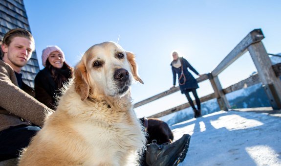 Mit Hund am Berg, © Der Tegernsee (Hansi Heckmair)