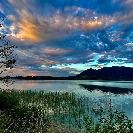 12, © Chrissy Dorn 12, © Chrissy Dorn