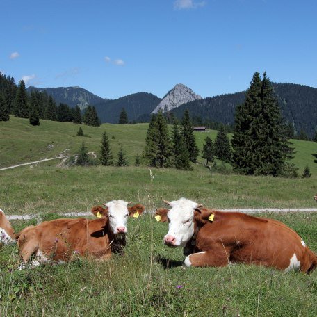 Königsalm, © Gemeinde Kreuth Königsalm, © Gemeinde Kreuth