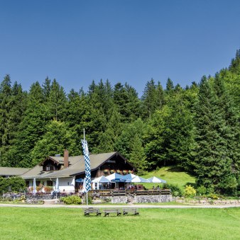 galaun001, © Thomas Müller galaun001, © Thomas Müller