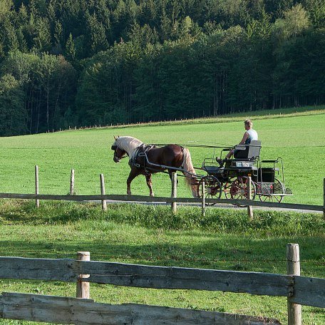 Ferienwohnungen Festlhof in Rottach-Egern am Tegernsee, © GERLIND SCHIELE PHOTOGRAPHY TEGERNSEE