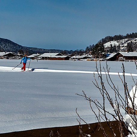 Ferienwohnung Butz in Rottach-Egern - Langlaufloipe führt am Haus direkt vorbei, © © GERLIND SCHIELE PHOTOGRAPHY TEGERNSEE