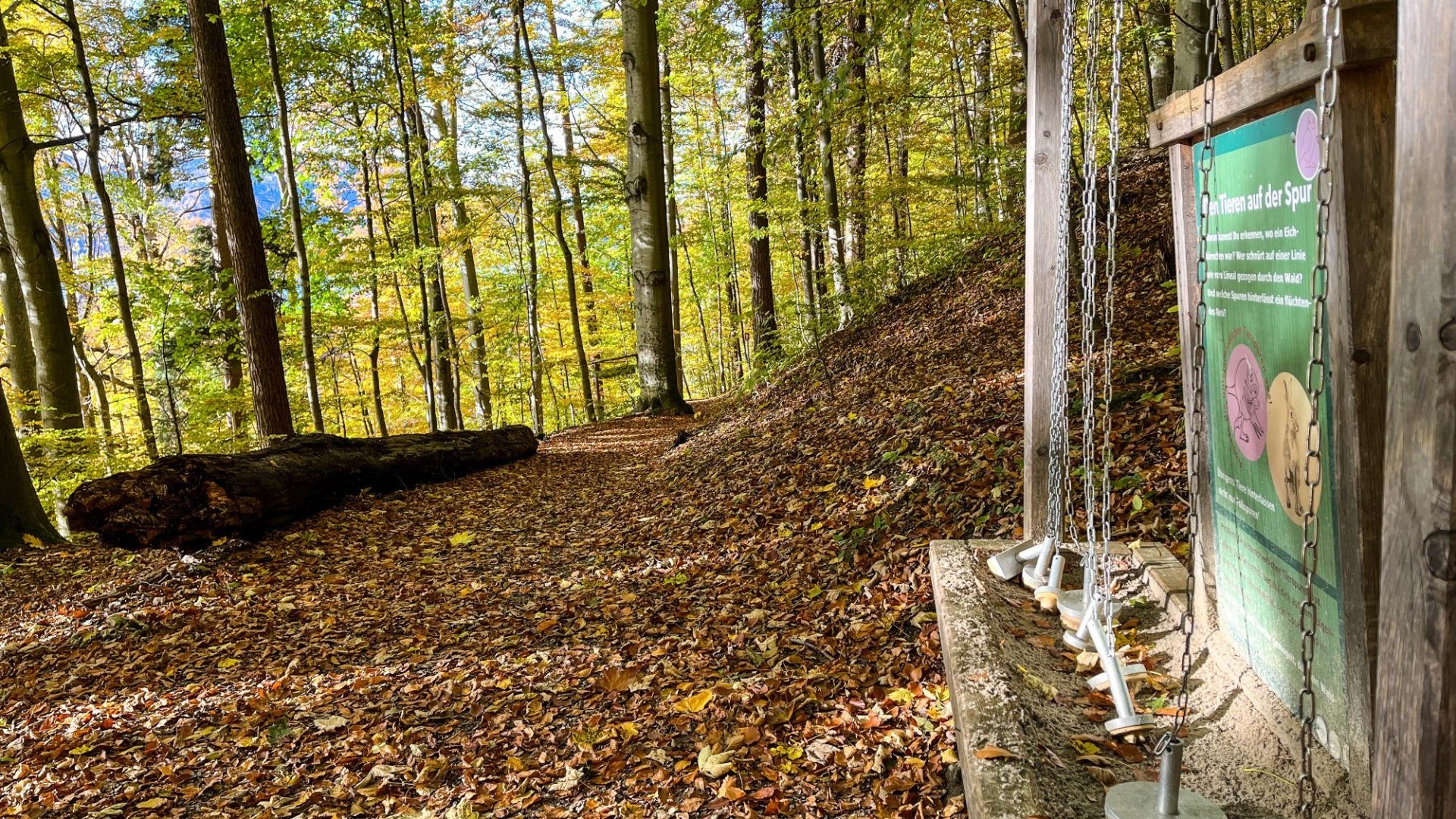 ttt_1123_mn_waldlehrpfad-laerchenwald_tegernsee_0059, © Der Tegernsee (Maria Nopper)