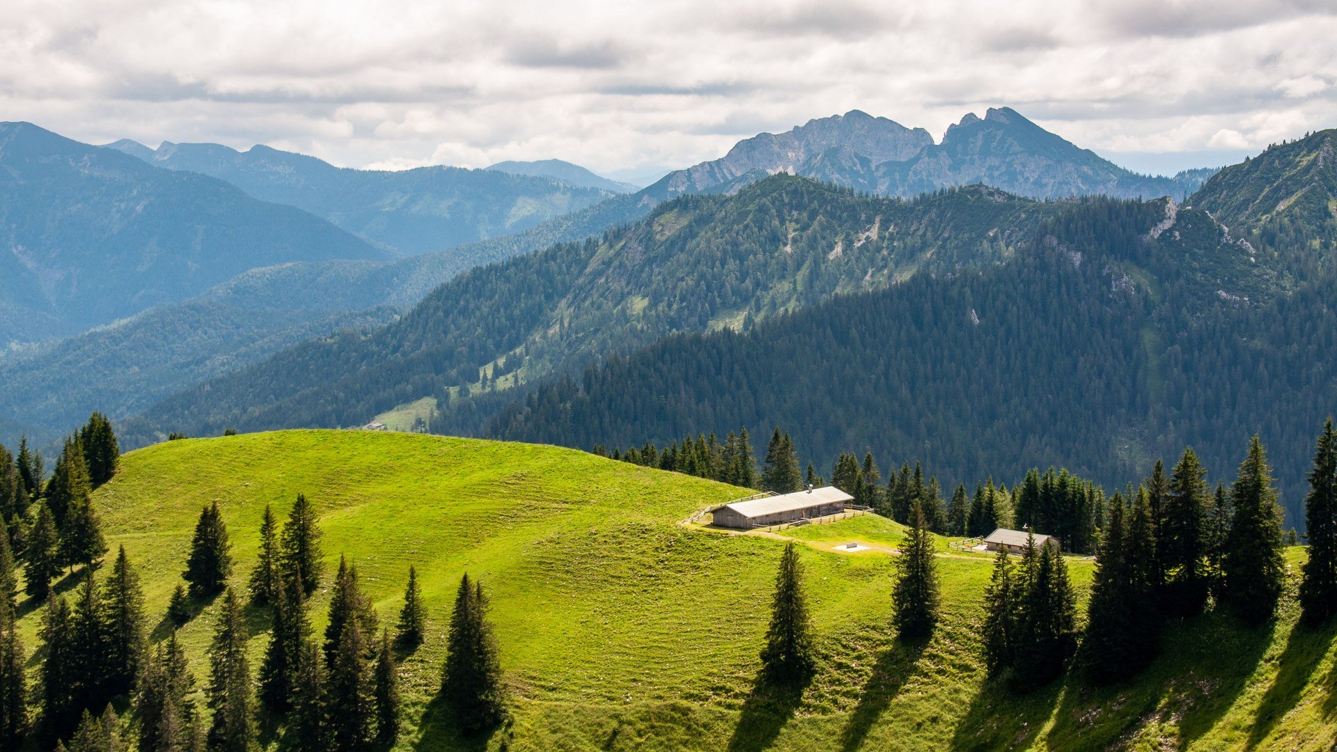 Gams_Wallberg_Rottach &copy; Der Tegernsee, Sabine Ziegler-Musiol_App, &copy; &copy; Der Tegernsee, Sabine Ziegler-Musiol