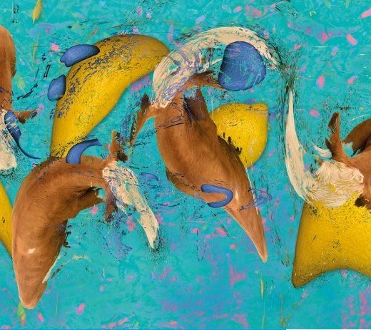 Jarzin, © Kulturvision e.V. Jarzin, © Kulturvision e.V.