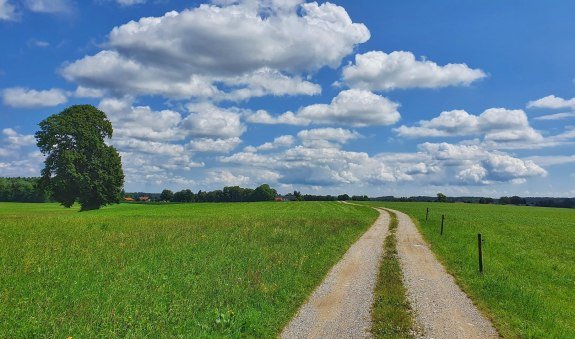 Weite Felder, © Geo-Lehrpfad Holzkirchen