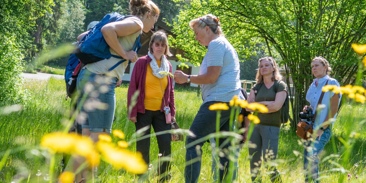 Kraeuterwanderung © Der Tegernsee, Thomas Plettenberg (1), © Der Tegernsee, Thomas Plettenberg
