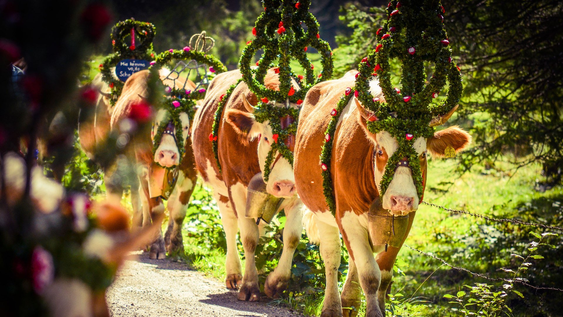 Eindrücke vom Almabtrieb am Tegernsee, © Florian Liebenstein