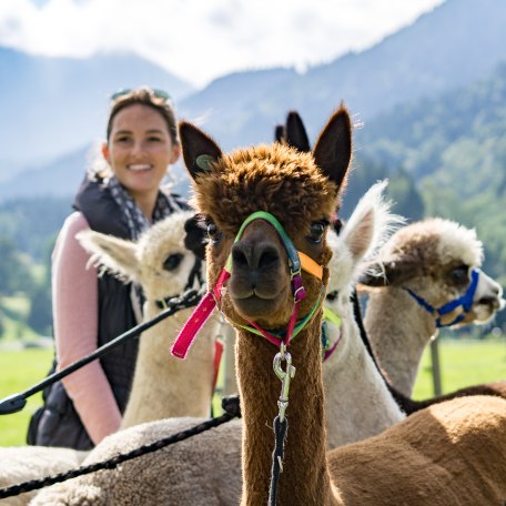 Alpakawanderung, © Der Tegernsee, Stefanie Pfeiler