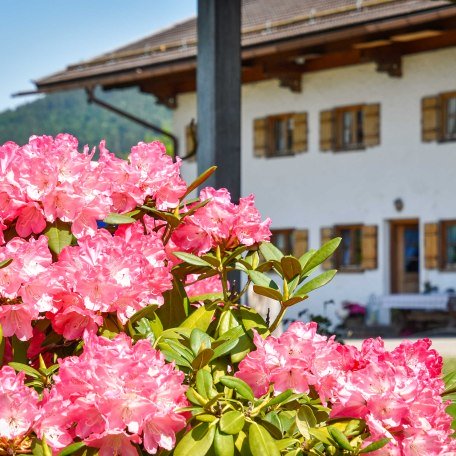 Blick auf unseren Hof., &copy; im-web.de/ Tourist-Information Bad Wiessee