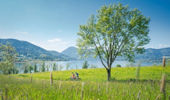 E-Bike Tour am Tegernsee, © DER TEGERNSEE