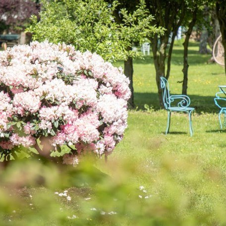 Garten, &copy; im-web.de/ Tourist-Information Rottach-Egern