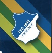 Logo Hoffenheim, © TSG Hoffenheim Logo Hoffenheim, © TSG Hoffenheim