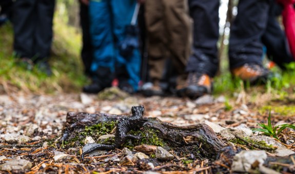 q-1080337, &copy; Rose Travel