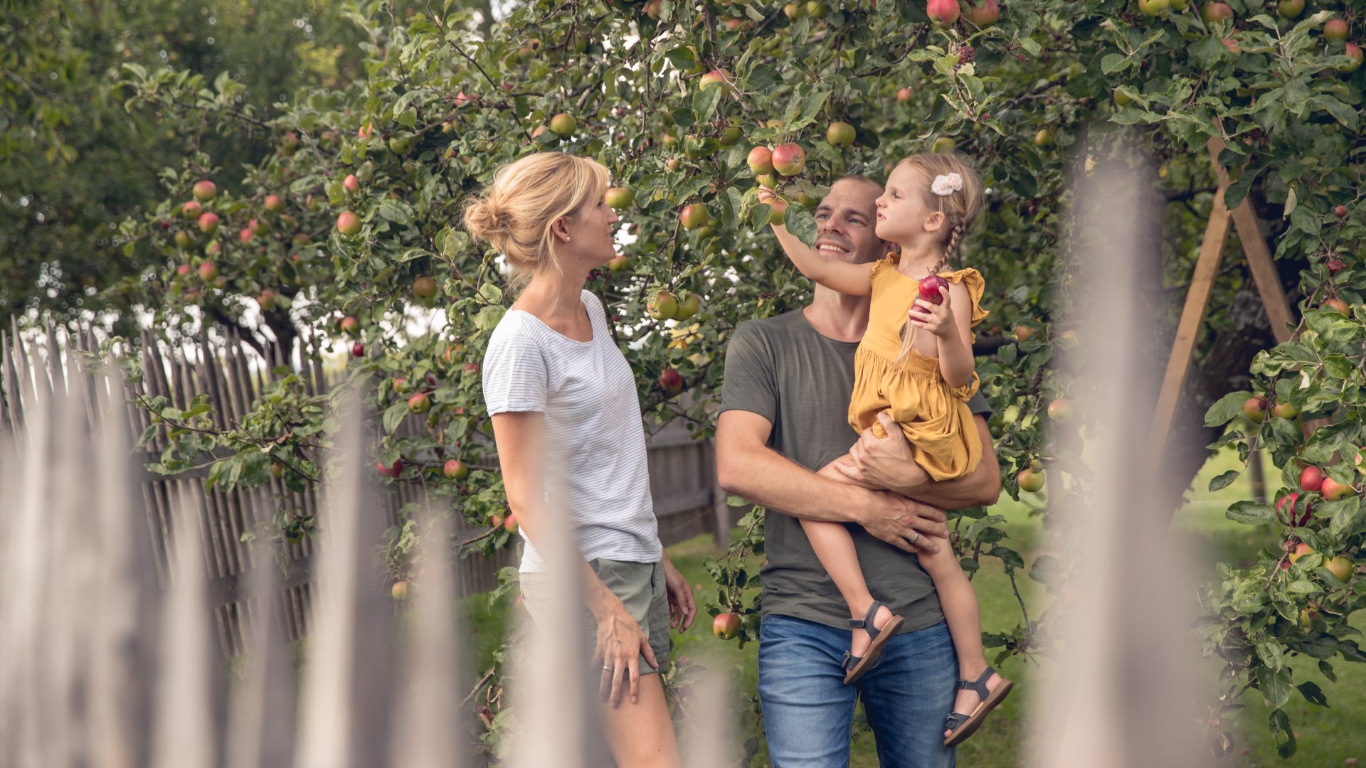 Familie beim Apfelpflücken, © Hansi Heckmair