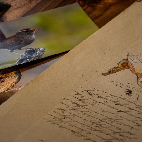 Klaus Altmann Aquarelle