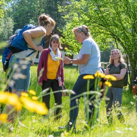TTT_0524_TP_Event_Natuerlich Kreuth_Kraeuterwanderung_0002, &copy; TTT Thomas Plettenberg