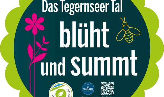 Bl&uuml;hwieseschild, der Tegernsee