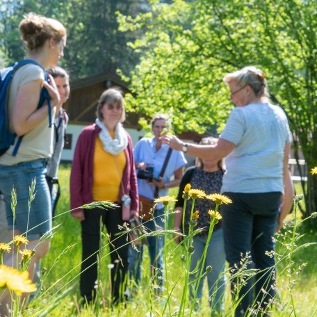 Kr&auml;uterwanderung &copy; Der Tegernsee, Thomas Plettenberg (6)