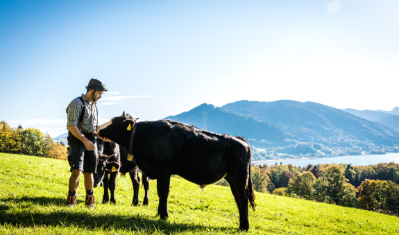 Buchberghof EKF Buchberghof EKF