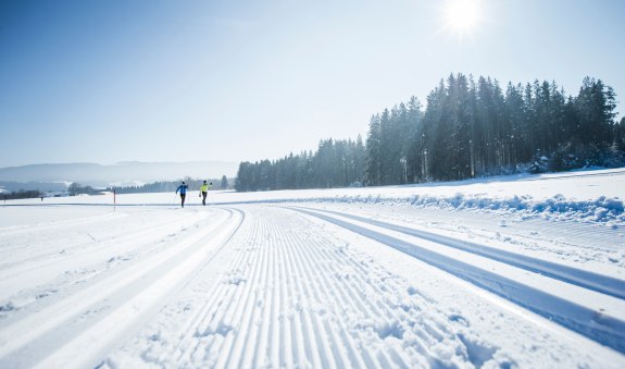 Hauserdörfl-Loipe, © Alpenregion Tegernsee Schliersee Hauserdörfl-Loipe, © Alpenregion Tegernsee Schliersee