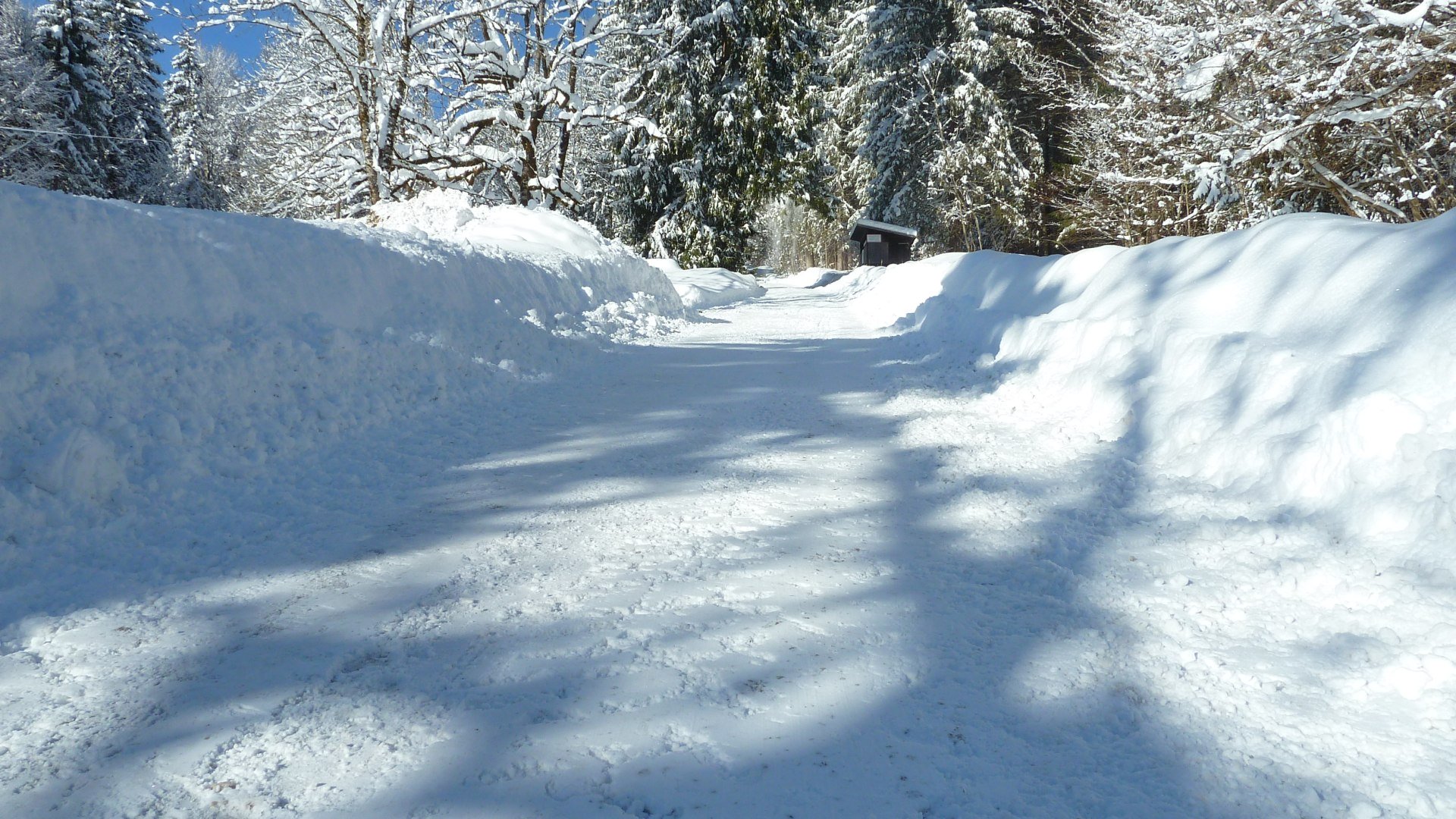 Rodelbahn_Hirschberg, © Kimpf Rodelbahn_Hirschberg, © Kimpf