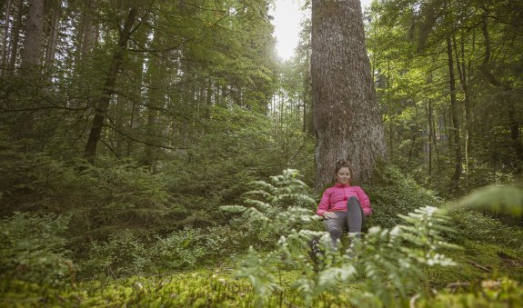 Gesundheit_Waldbaden, © Der Tegernsee (Hansi Heckmair) Gesundheit_Waldbaden, © Der Tegernsee (Hansi Heckmair)