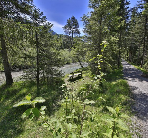 Der Naturlehrpfad in Kreuth, © Egbert Krupp