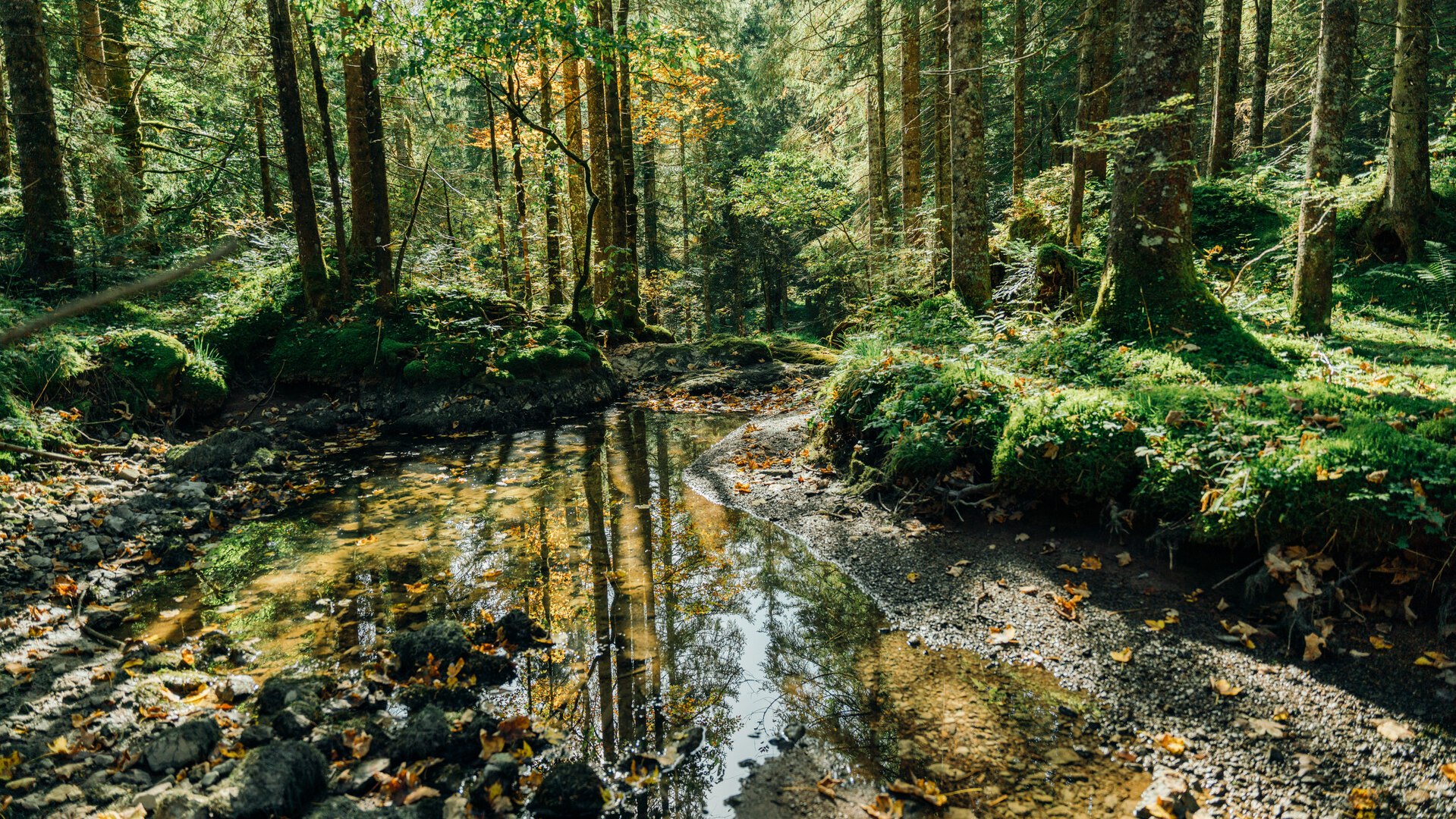 Heilklimawandern am Tegernsee, © Der Tegernsee (Hansi Heckmair)