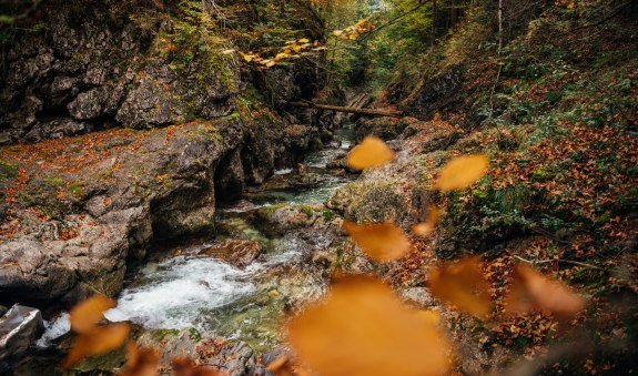 © DER TEGERNSEE, Juliaan Rohn_Schwarzenbach_0042, © DER TEGERNSEE