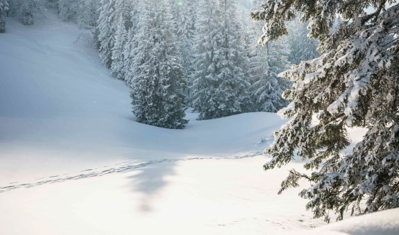 Winterstimmung, © Alpenregion Tegernsee Schliersee