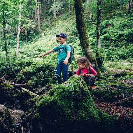 Familienwanderung Sutten, © Der Tegernsee, Julian Rohn