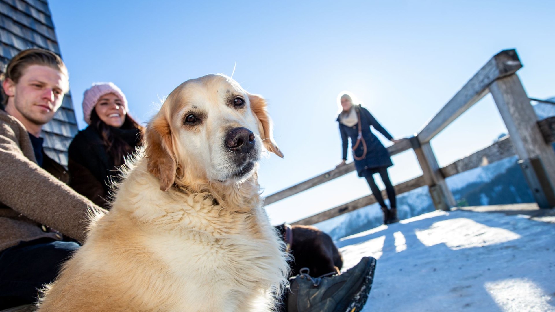 Mit Hund am Berg, © Der Tegernsee (Hansi Heckmair)