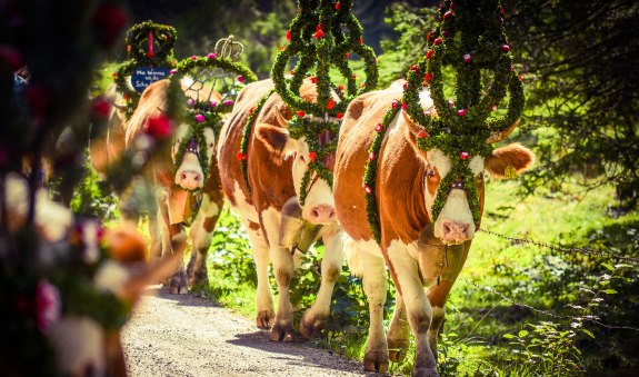 Eindrücke vom Almabtrieb am Tegernsee, © Florian Liebenstein