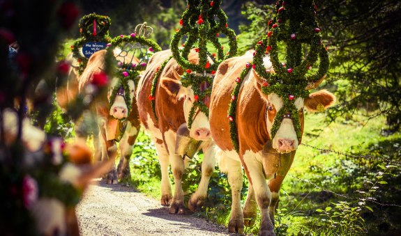 Eindrücke vom Almabtrieb am Tegernsee, © Florian Liebenstein Eindrücke vom Almabtrieb am Tegernsee, © Florian Liebenstein
